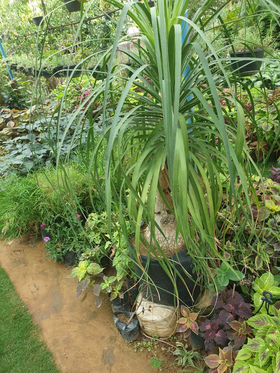 Gallery Image6